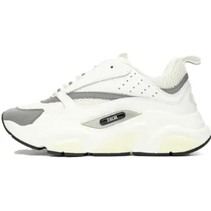 Dior B22 White Gray